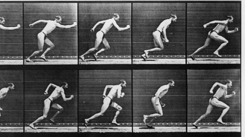 A qué animales les podrías ganar en una carrera (y por qué no evolucionamos para ser los más veloces)